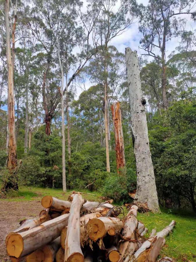 Lakes Entrance Log Cabins Exterior photo