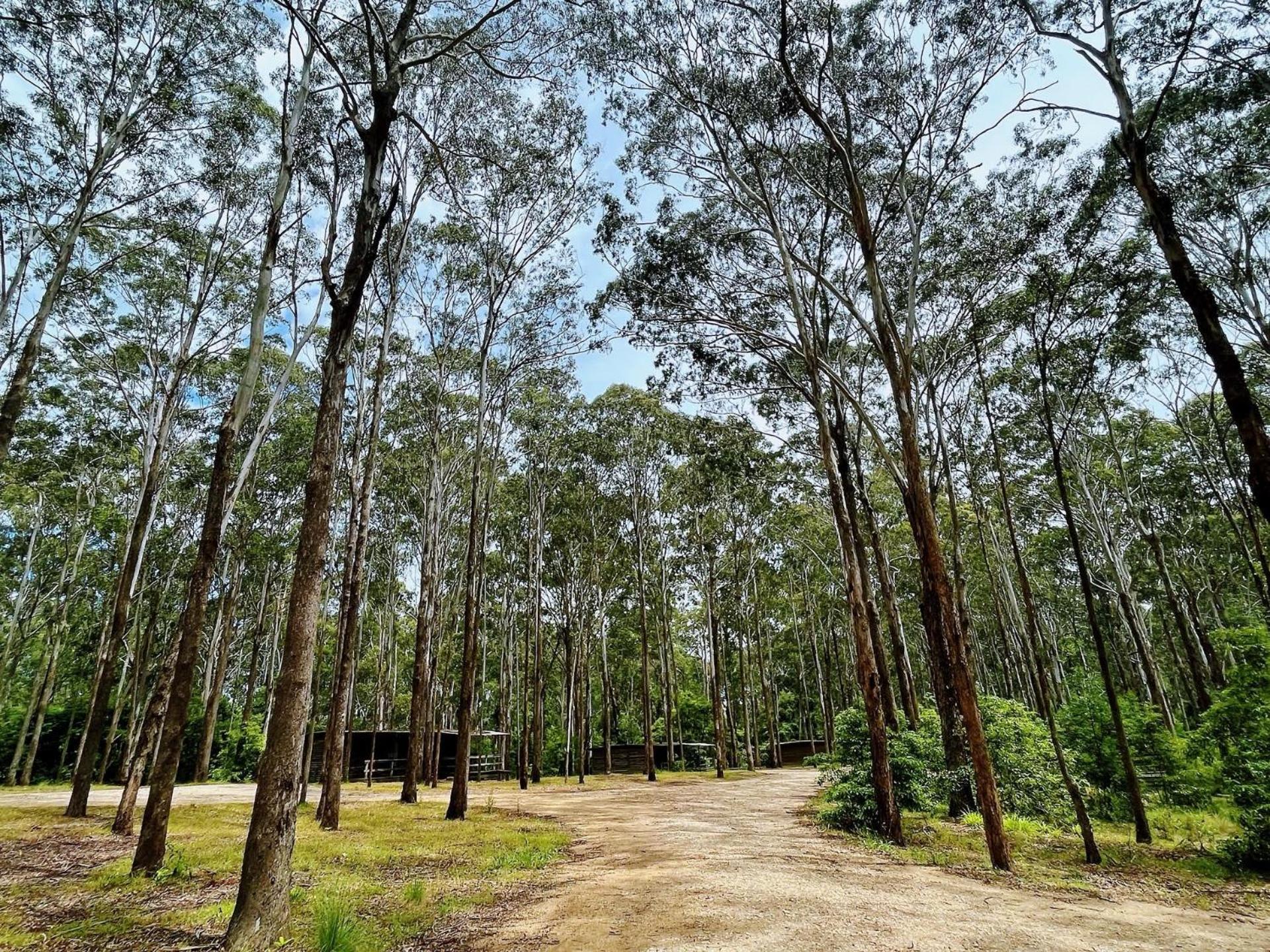 Lakes Entrance Log Cabins Exterior photo